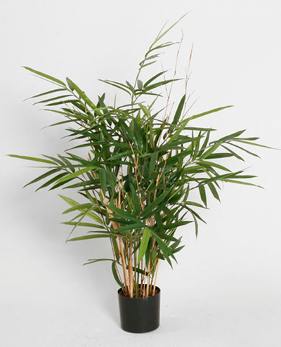 1254-090 Royal Bamboo 70cm, 1254-110 Royal Bamboo 110cm, 1254-170 Royal Bamboo 179cm